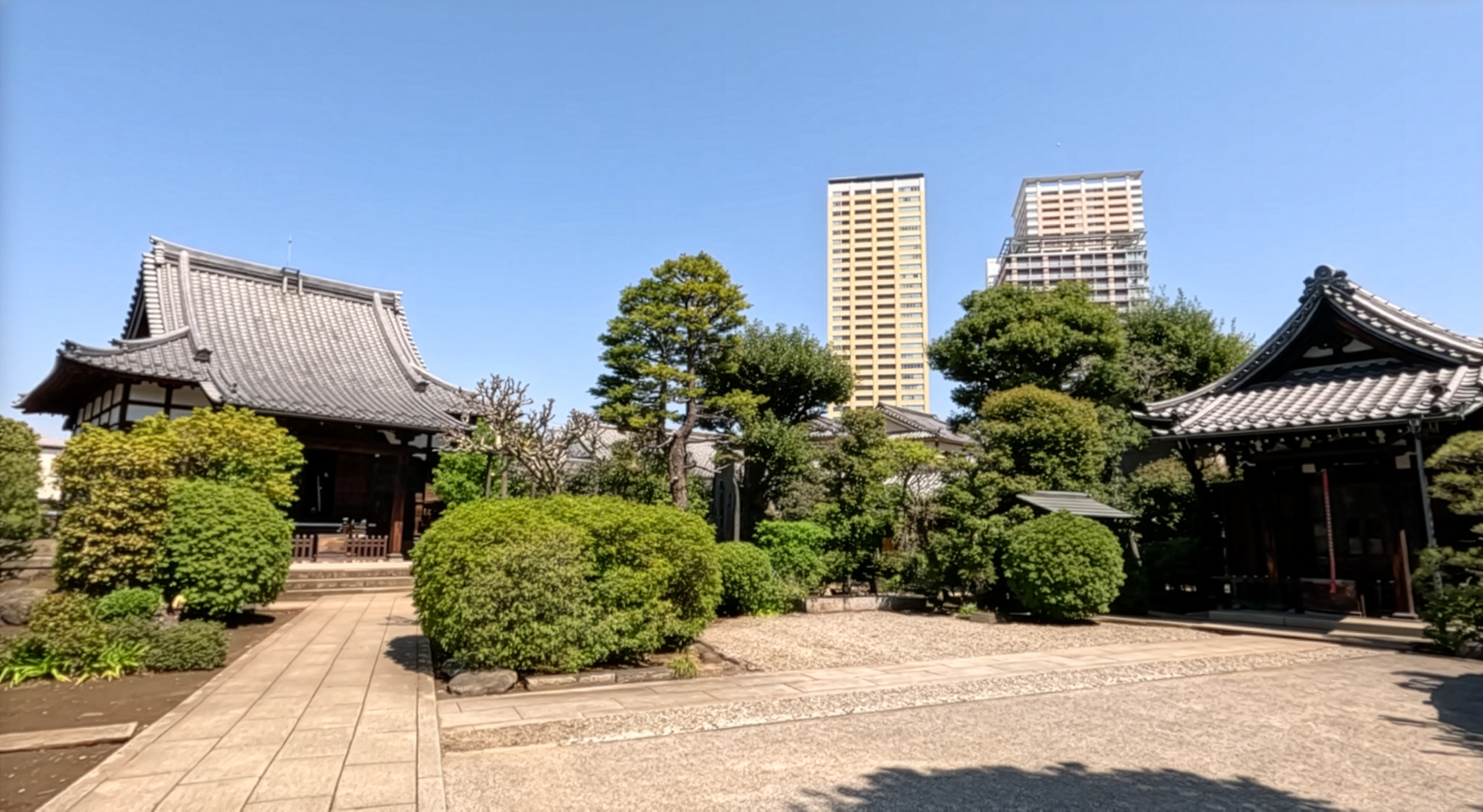 隣の寺の豊かな緑